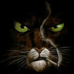 @cattsman