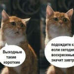 @tx6xut