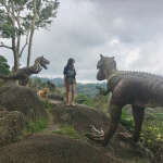 @masalatee