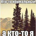 @aleksis-millchok