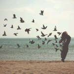 @belkabelo4cka