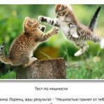 @alina-lorenc