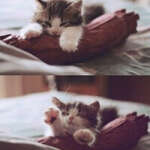 @valeriya2010zayc