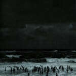 @h12qy9w