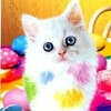 @ziq6ah
