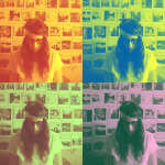 @alexandra-casss