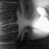 @viena-ne-angel