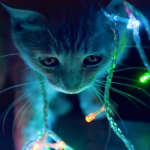@lrn5pg