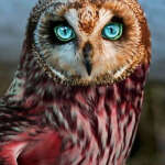 @kinar91