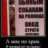 @super-polina0512