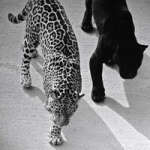 @m7ezwhk