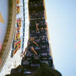 @pankova-1999