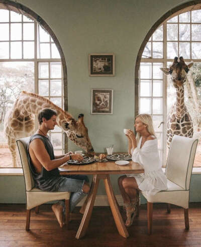 Позавтракать с жирафами в отеле Giraffe Minor (Кения)