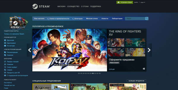 Steam