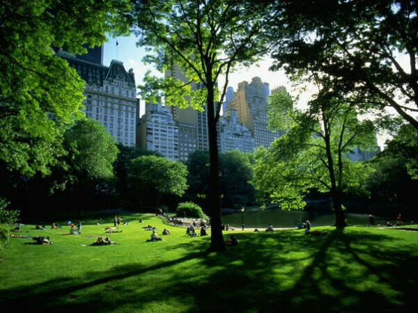 Переночевать в Центральном Парке ( New York ) на открытом воздухе! Просто на полянке ( Только летом ).