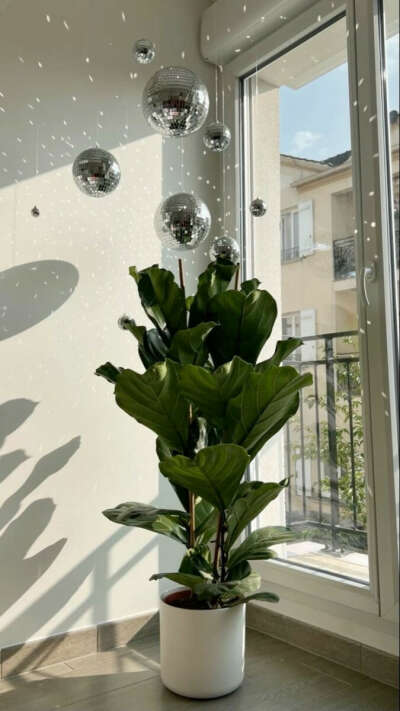 disco ball