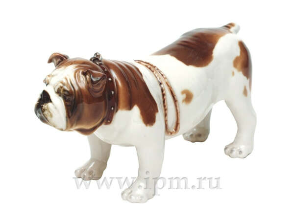 Английский бульдог