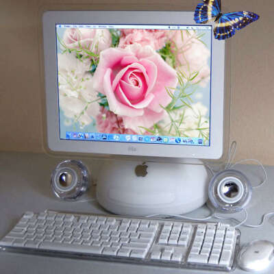 Компьютер-цветок Apple iMac G4