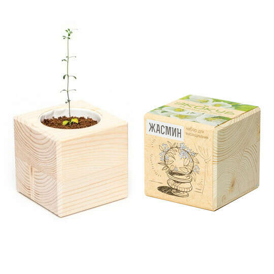 Набор для выращивания 'Ecocube' / Жасмин