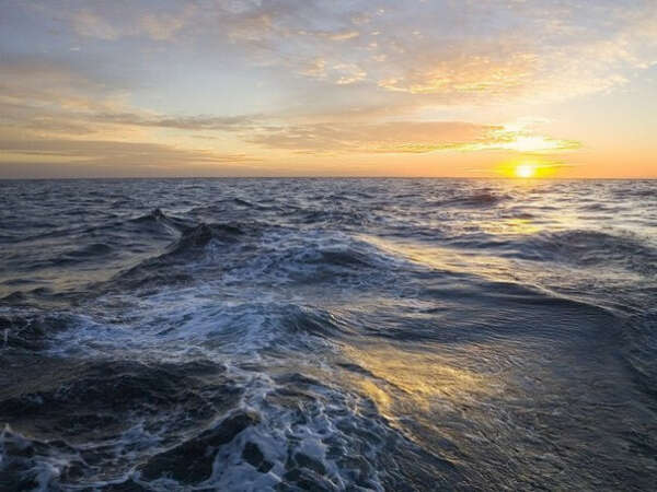 хочу в открытое море