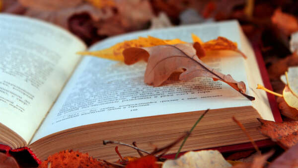 написать книгу
