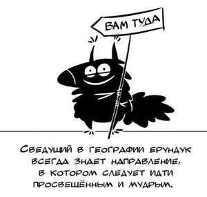футболка с ерундуком