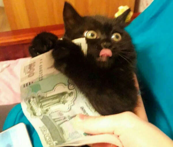 деняк)