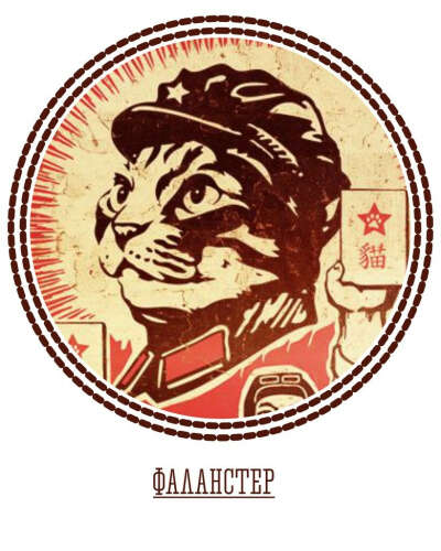сертификат в фаланстер