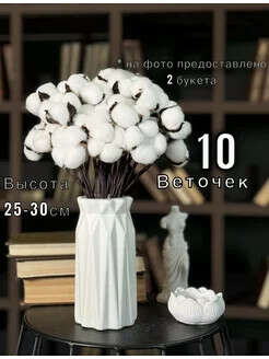 Gogolev / Сухоцветы для декора творчество 10 шт