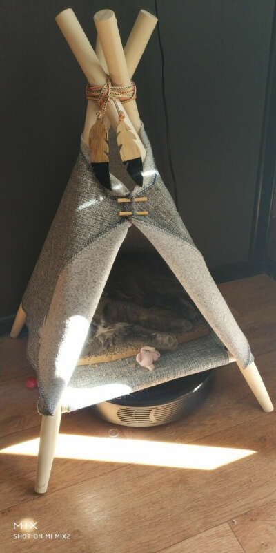 Прикольный кошачий домик
