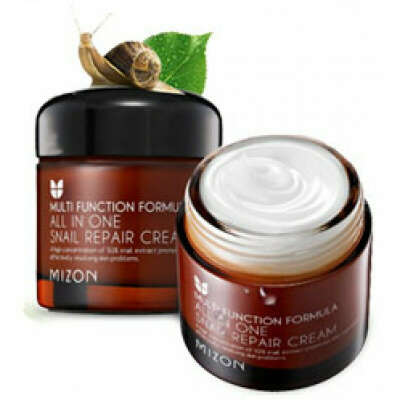 Mizon All in One Snail Repair Cream
