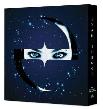 evanescence fallen vinyl