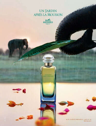 Hermes Un jardin apres la mousson