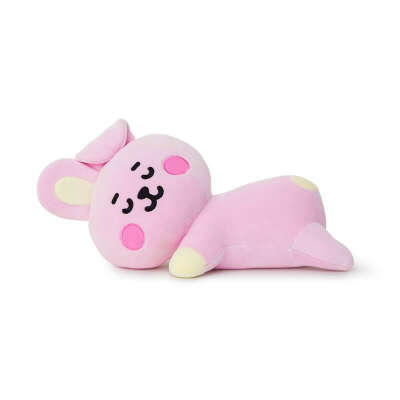 Cooky bt21