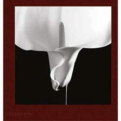 Mapplethorpe Flora. The Complete Flowers, автор Mark Holborn