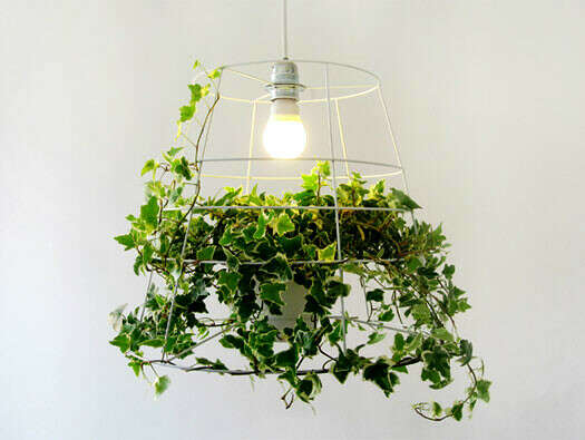 Photosynthesis Lamp