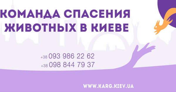 Донат Kyiv Animal Rescue Group
