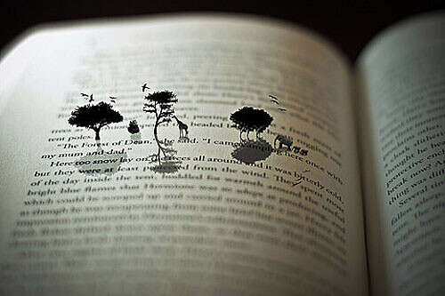 Хорошая книга (можно и на английском или французском)