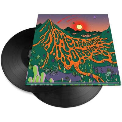 Пластинка Metronomy - Forever