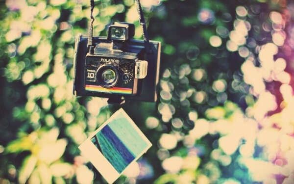 Polaroid