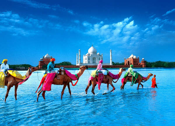 Travel to India