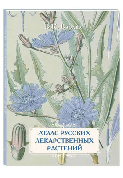 Атлас русских лекарственных растений