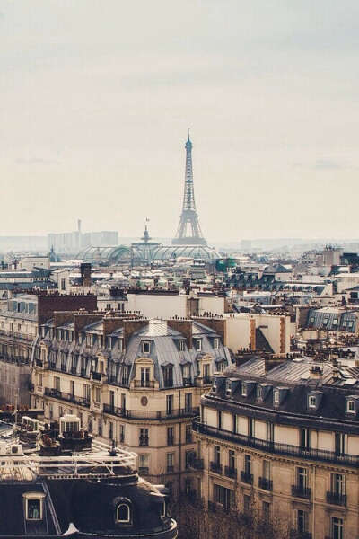 Go to Paris