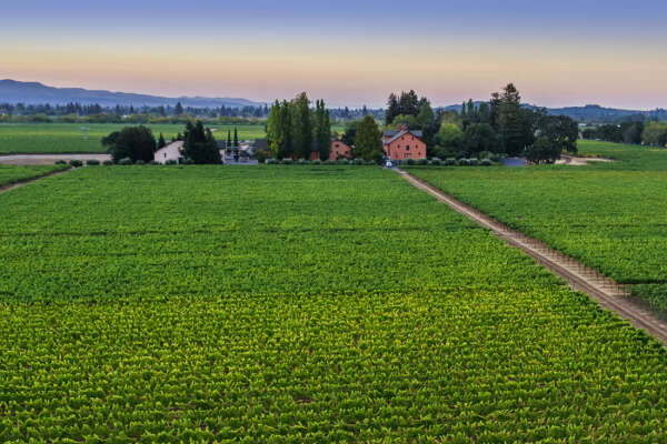 Napa Valley wineries tour