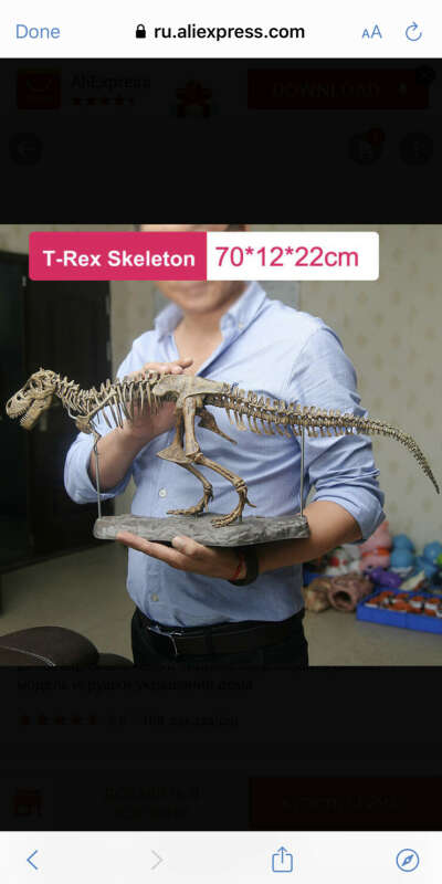 T. rex