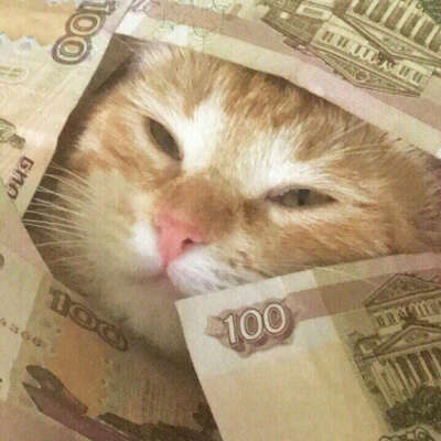 Деньги