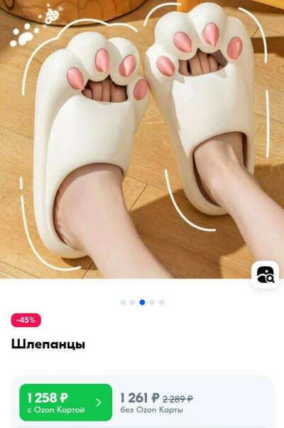 Кошколапы