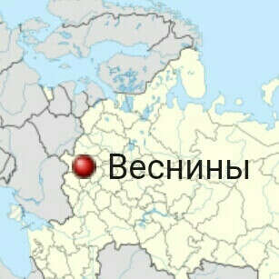 Посетить Веснины