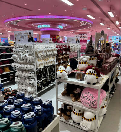 Miniso Harry Potter блайнд боксы (чемодан и фигурка), розовая кружка и всп остальное