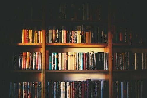 Книжный шкаф
